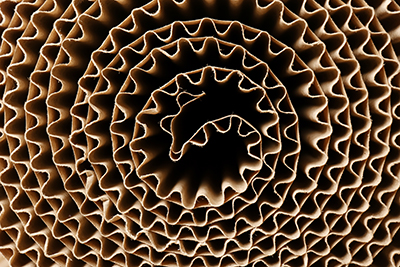 cardboard